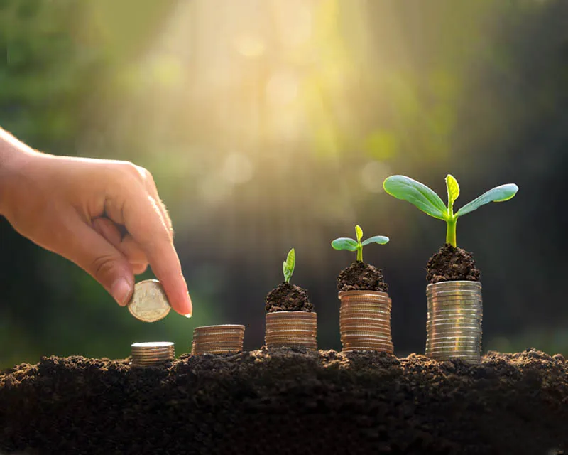 فريق من الناس إلى الناس